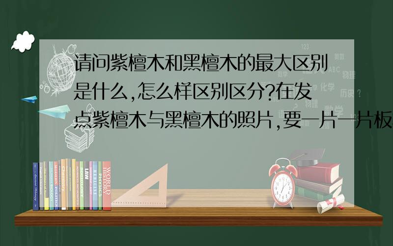 请问紫檀木和黑檀木的最大区别是什么,怎么样区别区分?在发点紫檀木与黑檀木的照片,要一片一片板材型的照片!