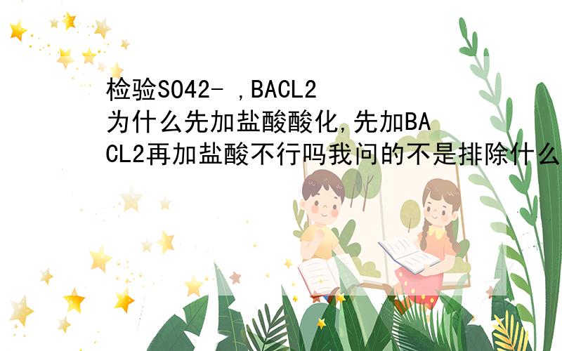 检验SO42- ,BACL2为什么先加盐酸酸化,先加BACL2再加盐酸不行吗我问的不是排除什么离子，是顺序能不能颠倒