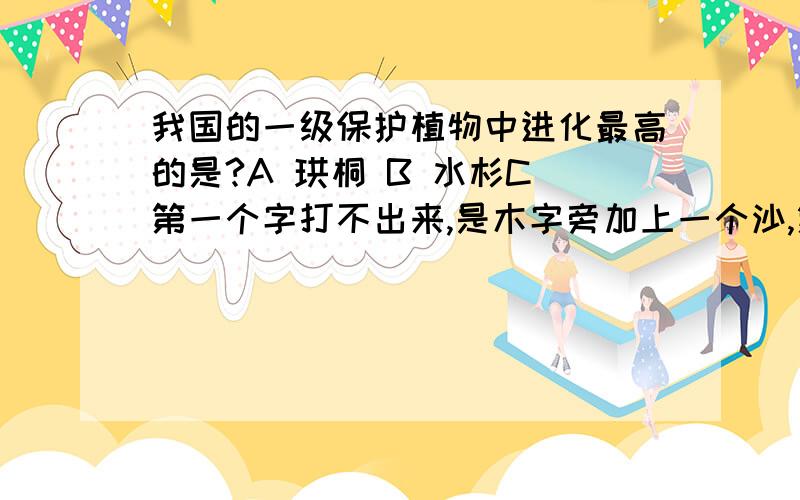 我国的一级保护植物中进化最高的是?A 珙桐 B 水杉C 第一个字打不出来,是木字旁加上一个沙,第二个字是“椤”D 银杉