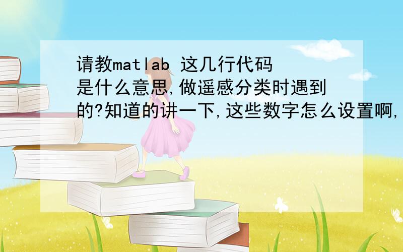 请教matlab 这几行代码是什么意思,做遥感分类时遇到的?知道的讲一下,这些数字怎么设置啊,