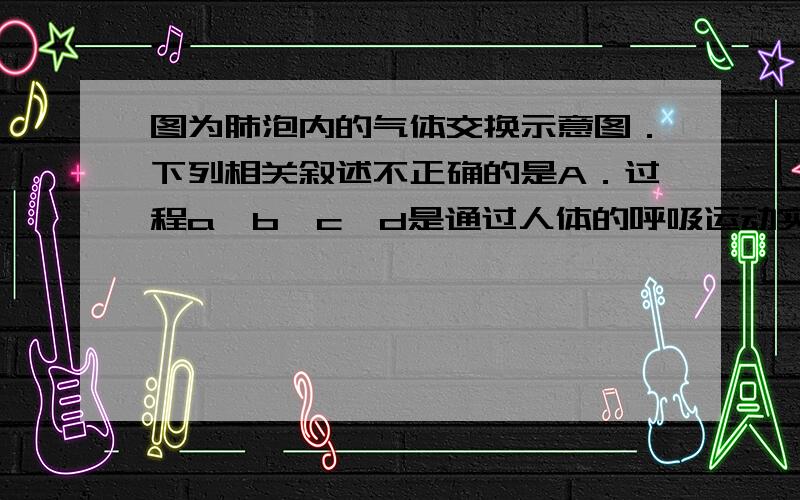 图为肺泡内的气体交换示意图．下列相关叙述不正确的是A．过程a、b、c、d是通过人体的呼吸运动实现的B．甲内流的是静脉血,丙内流的是动脉血C．与丙相比,甲内的血液含有更丰富的营养物