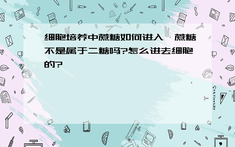 细胞培养中蔗糖如何进入,蔗糖不是属于二糖吗?怎么进去细胞的?