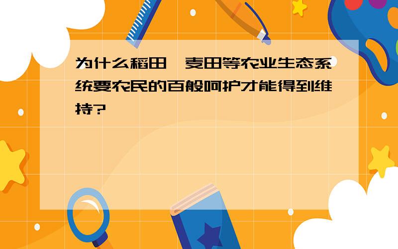 为什么稻田、麦田等农业生态系统要农民的百般呵护才能得到维持?