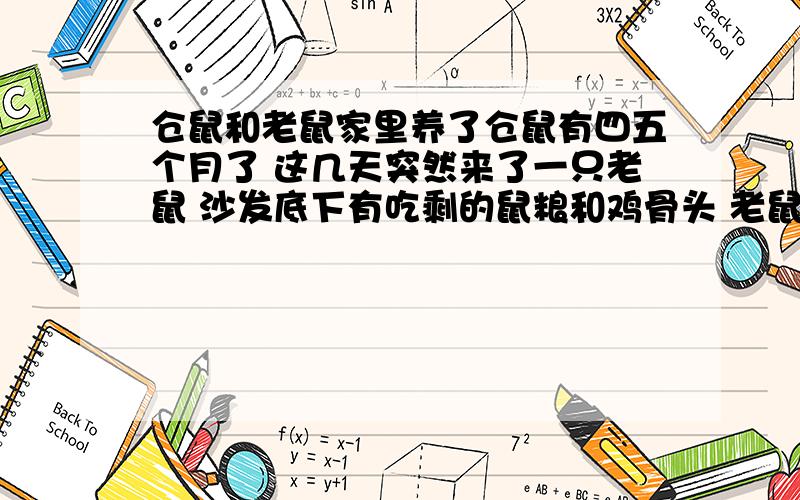 仓鼠和老鼠家里养了仓鼠有四五个月了 这几天突然来了一只老鼠 沙发底下有吃剩的鼠粮和鸡骨头 老鼠会开仓鼠笼子么?仓鼠会知道有老鼠来吗?他们之间可以沟通吗!