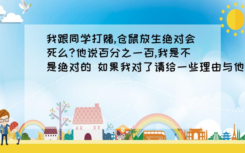 我跟同学打赌,仓鼠放生绝对会死么?他说百分之一百,我是不是绝对的 如果我对了请给一些理由与他争辩