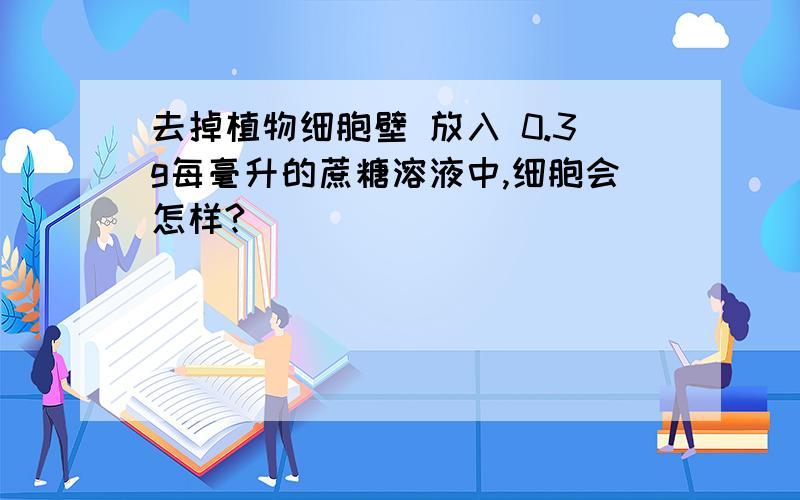 去掉植物细胞壁 放入 0.3g每毫升的蔗糖溶液中,细胞会怎样?