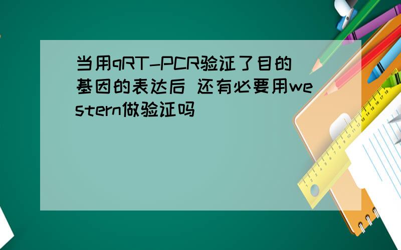 当用qRT-PCR验证了目的基因的表达后 还有必要用western做验证吗