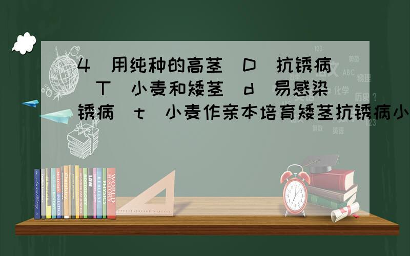 4．用纯种的高茎（D）抗锈病（T）小麦和矮茎（d）易感染锈病（t）小麦作亲本培育矮茎抗锈病小麦新品种高茎抗锈病×矮茎易感染锈病 F1 dT配子 dT幼苗 符合要求的品种（1） 上述过程A在育