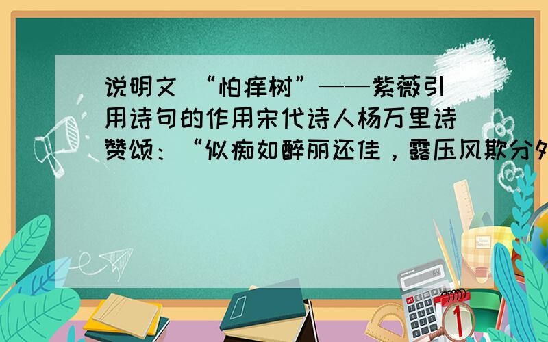 说明文 “怕痒树”——紫薇引用诗句的作用宋代诗人杨万里诗赞颂：“似痴如醉丽还佳，露压风欺分外斜。谁道花无红百日，紫薇长放半年花。”明代薛蕙也写过：“紫薇花最久，烂漫十旬