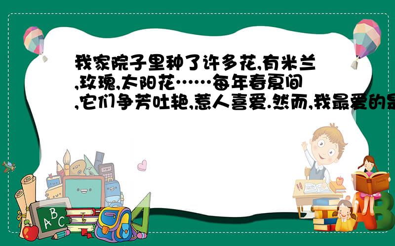 我家院子里种了许多花,有米兰,玫瑰,太阳花……每年春夏间,它们争芳吐艳,惹人喜爱.然而,我最爱的是迎风怒放的菊花.深秋的早晨,大地、屋顶、树枝都（落、飘、洒）满了寒霜,瑟瑟秋风吹来