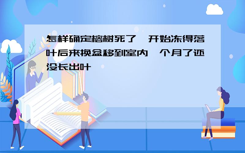 怎样确定榕树死了一开始冻得落叶后来换盆移到室内一个月了还没长出叶