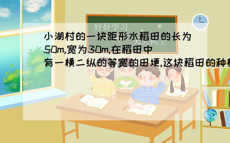 小湖村的一块距形水稻田的长为50m,宽为30m,在稻田中有一横二纵的等宽的田埂,这块稻田的种植面积为145505m²,求田埂的宽.若设田埂的宽为xm.（50-2x)(30-x)=1445.5 是否正确前面的种植面积错误