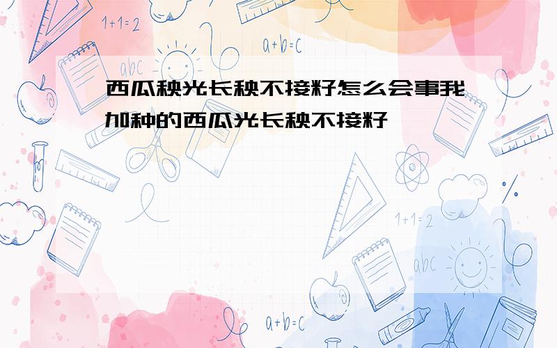 西瓜秧光长秧不接籽怎么会事我加种的西瓜光长秧不接籽