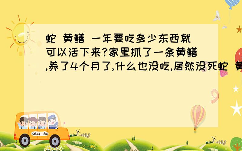 蛇 黄鳝 一年要吃多少东西就可以活下来?家里抓了一条黄鳝,养了4个月了,什么也没吃,居然没死蛇 黄鳝 一年要吃多少东西 怎么有那么强的生命力