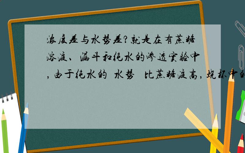 浓度差与水势差?就是在有蔗糖溶液、漏斗和纯水的渗透实验中，由于纯水的  水势   比蔗糖液高，烧杯中的水分子就会向漏斗中移动，导致漏斗页面上升，为什么纯水的水势比蔗糖液高啊？