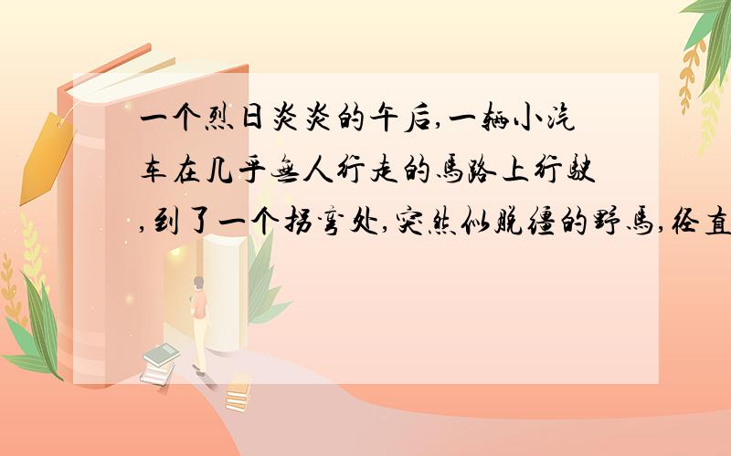 一个烈日炎炎的午后,一辆小汽车在几乎无人行走的马路上行驶,到了一个拐弯处,突然似脱缰的野马,径直撞