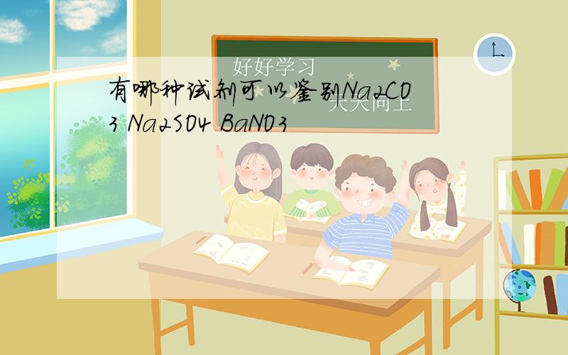 有哪种试剂可以鉴别Na2CO3 Na2SO4 BaNO3