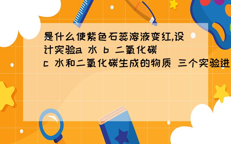 是什么使紫色石蕊溶液变红,设计实验a 水 b 二氧化碳 c 水和二氧化碳生成的物质 三个实验进行比较