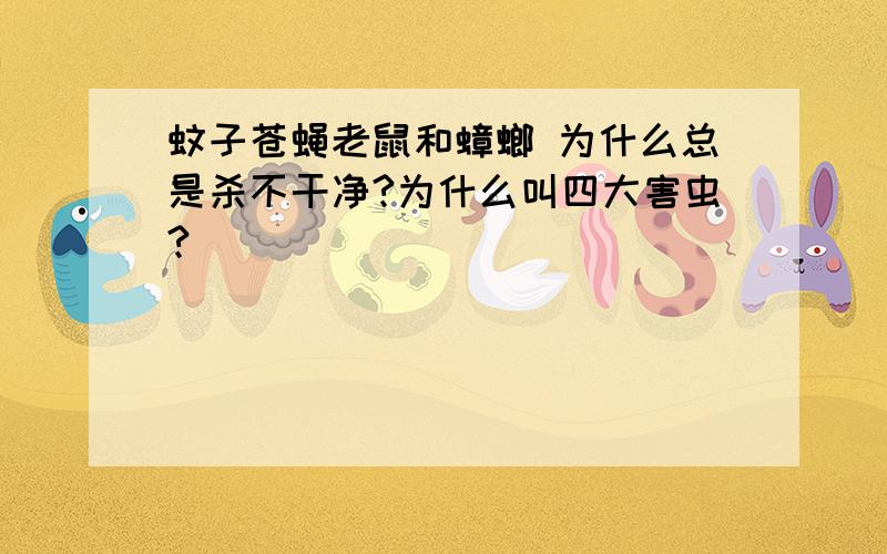 蚊子苍蝇老鼠和蟑螂 为什么总是杀不干净?为什么叫四大害虫?