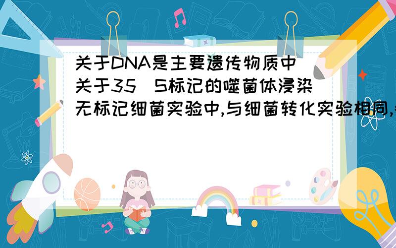 关于DNA是主要遗传物质中 关于35^S标记的噬菌体浸染无标记细菌实验中,与细菌转化实验相同,都是根据遗传物质具有控制形状的特性而设计的