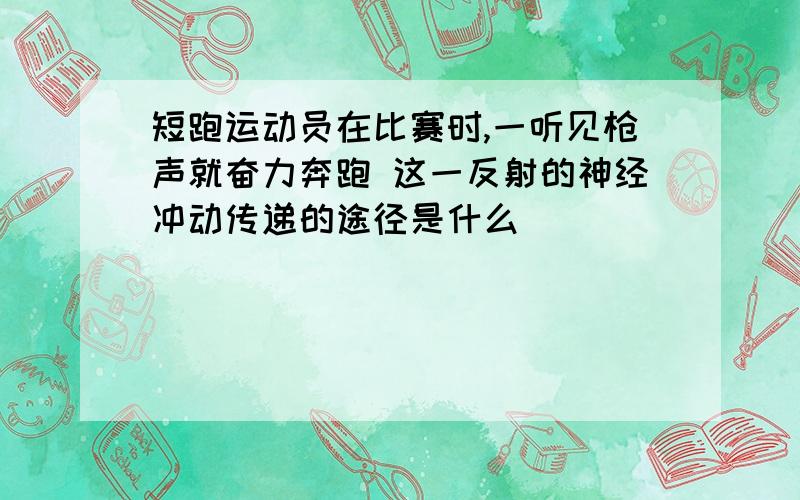 短跑运动员在比赛时,一听见枪声就奋力奔跑 这一反射的神经冲动传递的途径是什么