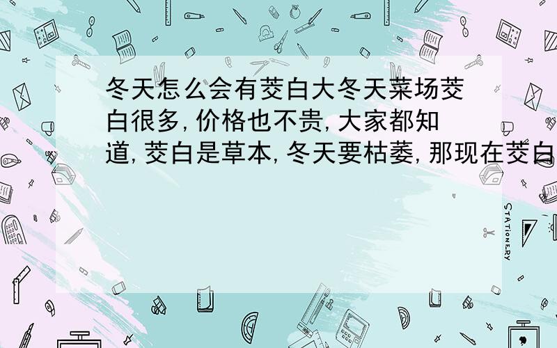 冬天怎么会有茭白大冬天菜场茭白很多,价格也不贵,大家都知道,茭白是草本,冬天要枯萎,那现在茭白是保鲜还是新品种?