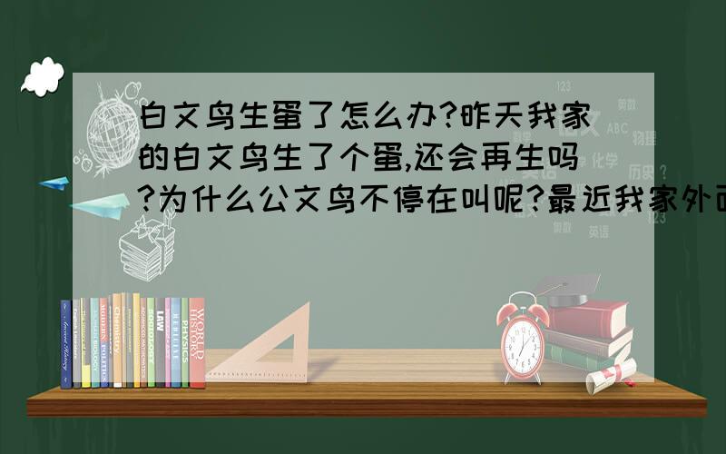 白文鸟生蛋了怎么办?昨天我家的白文鸟生了个蛋,还会再生吗?为什么公文鸟不停在叫呢?最近我家外面的马路在施工,会影响到它们生蛋吗?现在要注意什么?要给它们补什么营养?要给它们晒太