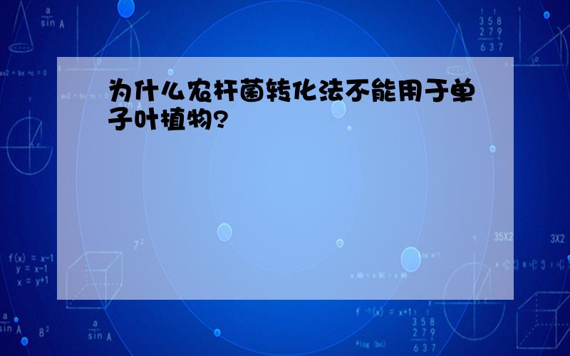 为什么农杆菌转化法不能用于单子叶植物?