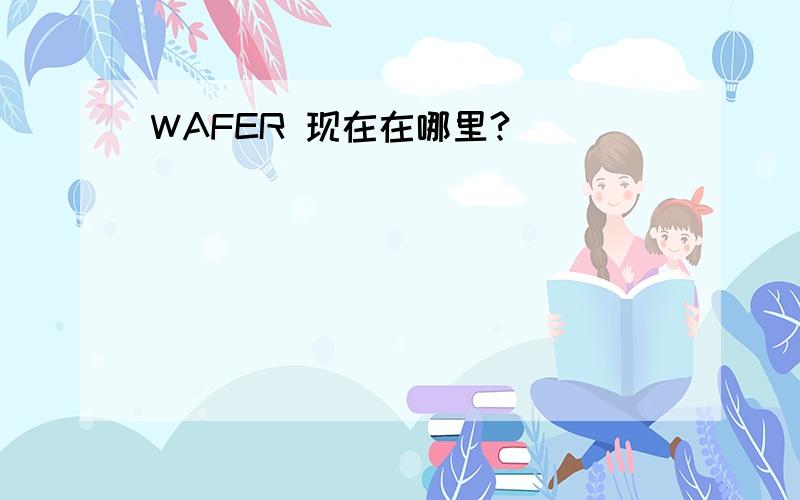 WAFER 现在在哪里?