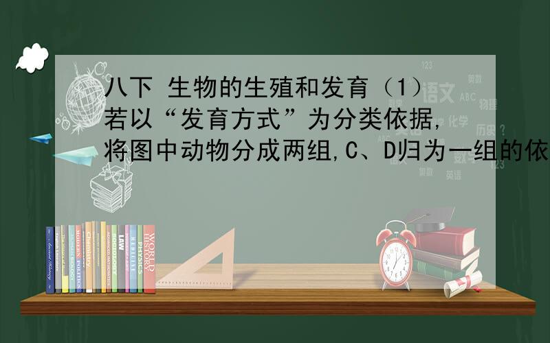 八下 生物的生殖和发育（1）若以“发育方式”为分类依据,将图中动物分成两组,C、D归为一组的依据是 .（2）D的发育过程经过的时期有 ,属于 发育.（3）青蛙的幼体生活在水中,用　 　呼吸