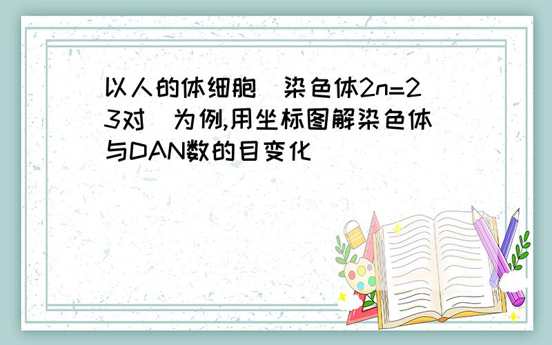 以人的体细胞（染色体2n=23对）为例,用坐标图解染色体与DAN数的目变化