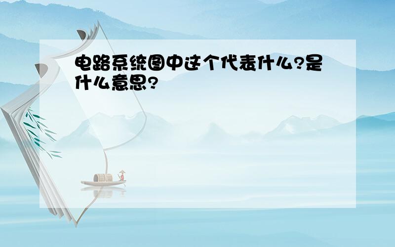 电路系统图中这个代表什么?是什么意思?