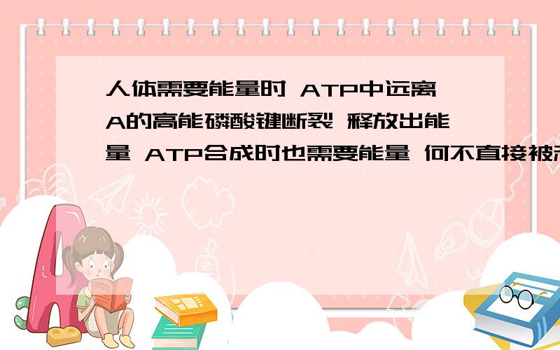 人体需要能量时 ATP中远离A的高能磷酸键断裂 释放出能量 ATP合成时也需要能量 何不直接被利用 ?为什么还要再合成ATP      高手高手高手.