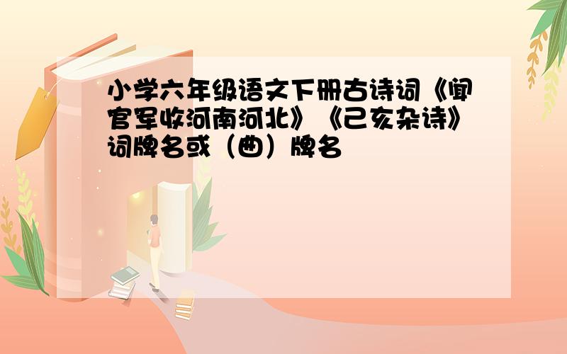 小学六年级语文下册古诗词《闻官军收河南河北》《己亥杂诗》词牌名或（曲）牌名