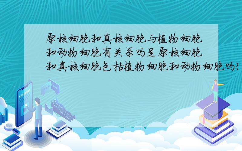 原核细胞和真核细胞与植物细胞和动物细胞有关系吗是原核细胞和真核细胞包括植物细胞和动物细胞吗?