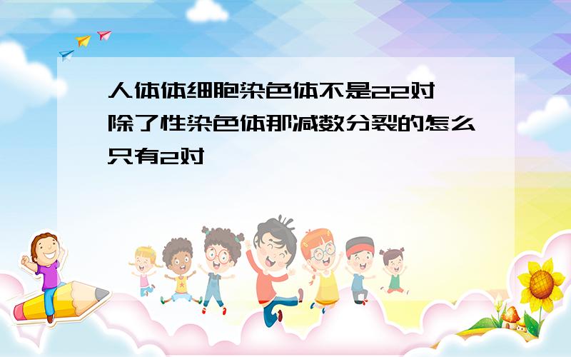 人体体细胞染色体不是22对,除了性染色体那减数分裂的怎么只有2对