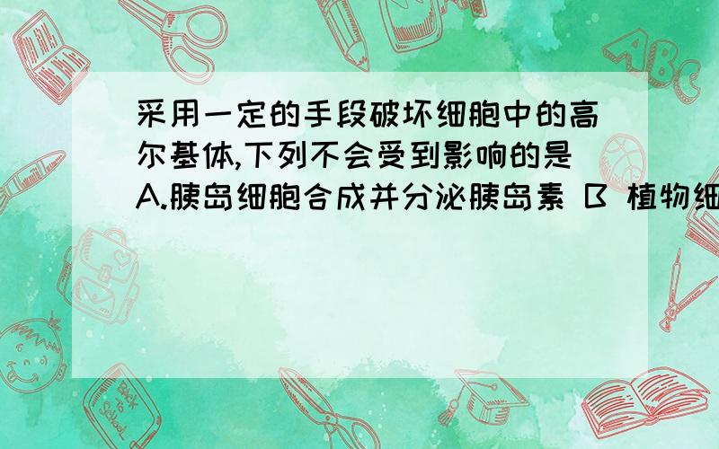 采用一定的手段破坏细胞中的高尔基体,下列不会受到影响的是A.胰岛细胞合成并分泌胰岛素 B 植物细采用一定的手段破坏细胞中的高尔基体,下列不会受到影响的是A.胰岛细胞合成并分泌胰岛