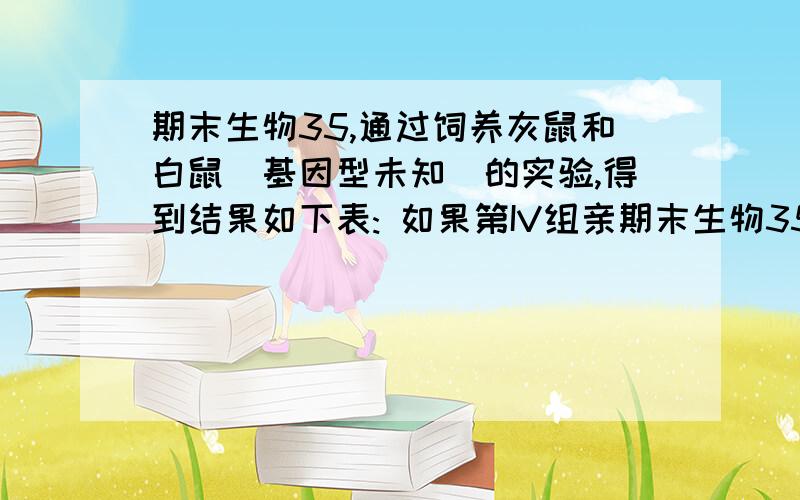 期末生物35,通过饲养灰鼠和白鼠（基因型未知）的实验,得到结果如下表: 如果第IV组亲期末生物35,通过饲养灰鼠和白鼠（基因型未知）的实验,得到结果如下表:       如果第IV组亲本中的灰色雌