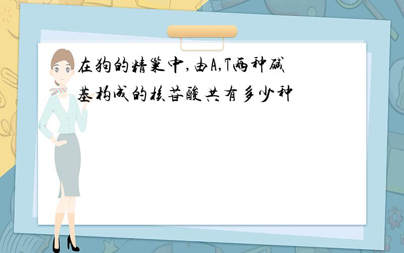 在狗的精巢中,由A,T两种碱基构成的核苷酸共有多少种