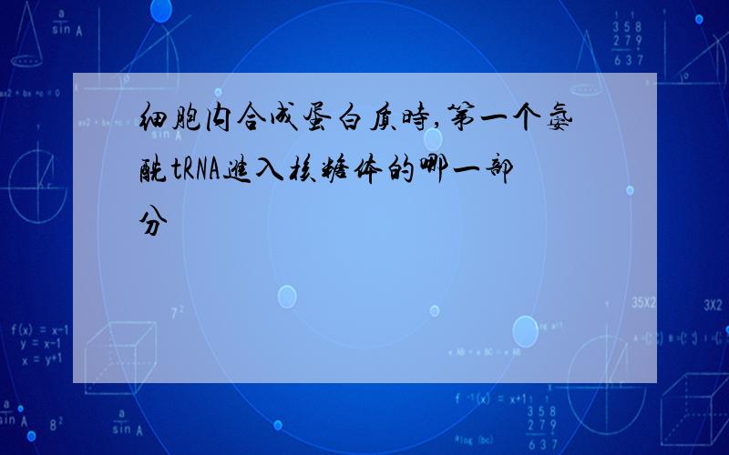 细胞内合成蛋白质时,第一个氨酰tRNA进入核糖体的哪一部分