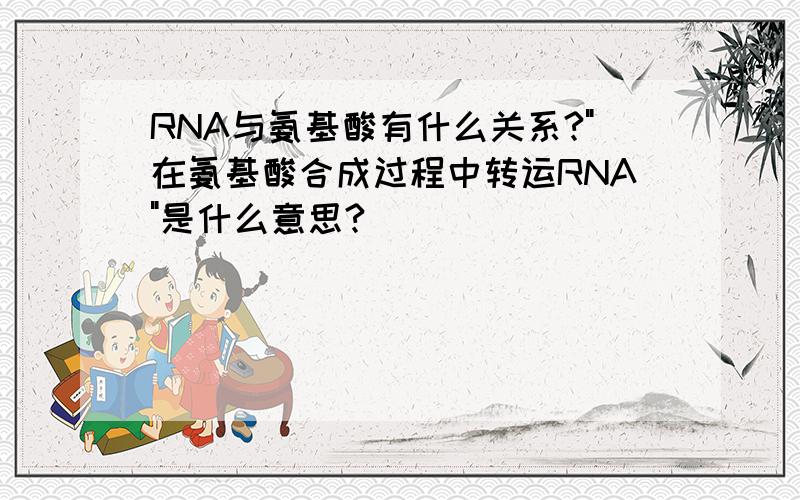 RNA与氨基酸有什么关系?