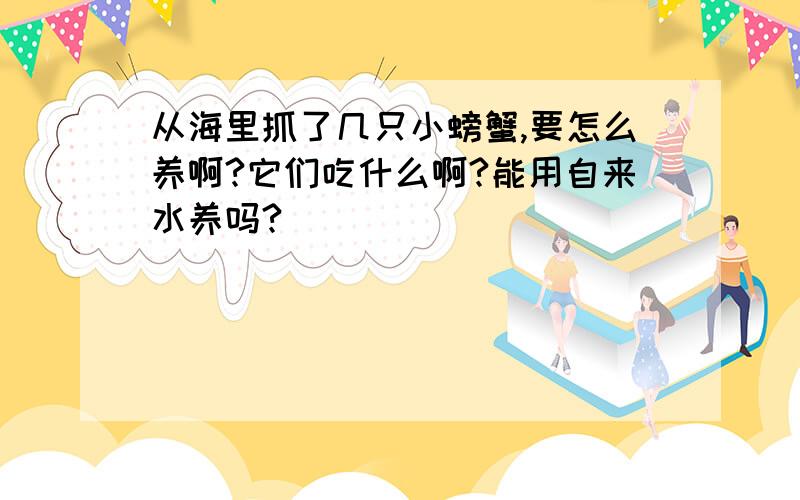 从海里抓了几只小螃蟹,要怎么养啊?它们吃什么啊?能用自来水养吗?