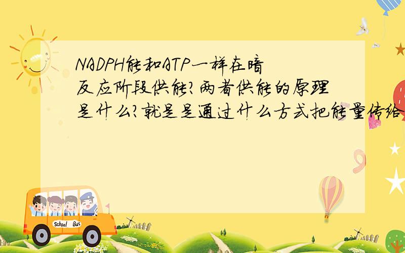 NADPH能和ATP一样在暗反应阶段供能?两者供能的原理是什么?就是是通过什么方式把能量传给三碳糖的?能量真的是一样很抽象的东西·····