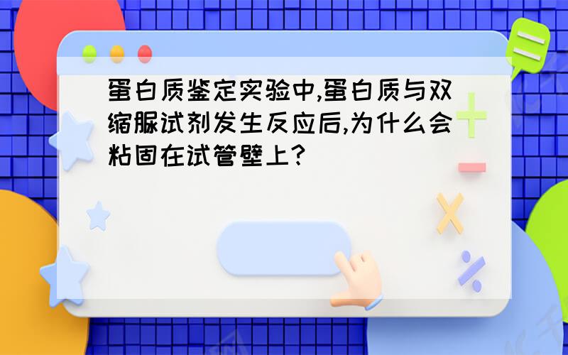 蛋白质鉴定实验中,蛋白质与双缩脲试剂发生反应后,为什么会粘固在试管壁上?