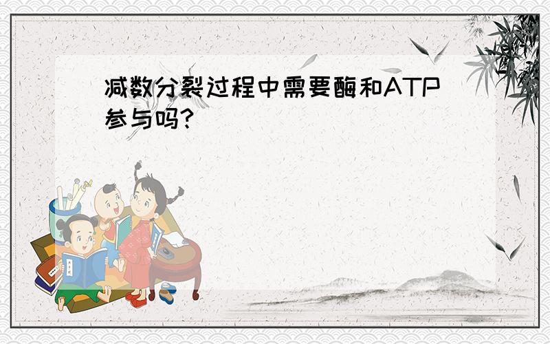 减数分裂过程中需要酶和ATP参与吗?