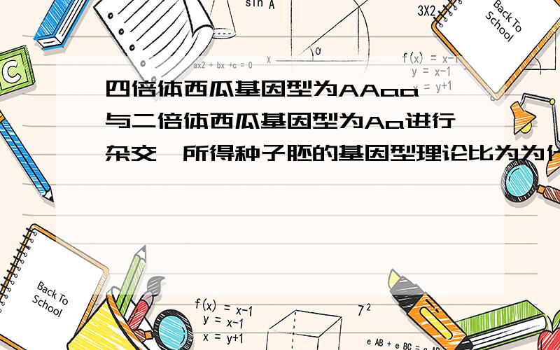 四倍体西瓜基因型为AAaa,与二倍体西瓜基因型为Aa进行杂交,所得种子胚的基因型理论比为为什么四倍体AA：Aa：aa=1：4：