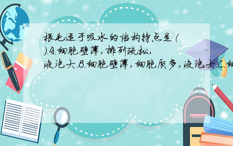 根毛适于吸水的结构特点是( ).A.细胞壁薄,排列疏松,液泡大.B.细胞壁薄,细胞质多,液泡大.C.细胞壁薄,细胞质多,液泡大.D.细胞壁体积大,排列不规则,液泡大.我今天就要