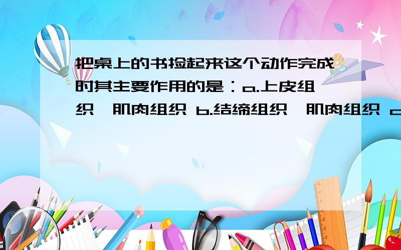 把桌上的书捡起来这个动作完成时其主要作用的是：a.上皮组织,肌肉组织 b.结缔组织,肌肉组织 c.神经组织和结缔组织 d.肌肉组织和神经组织