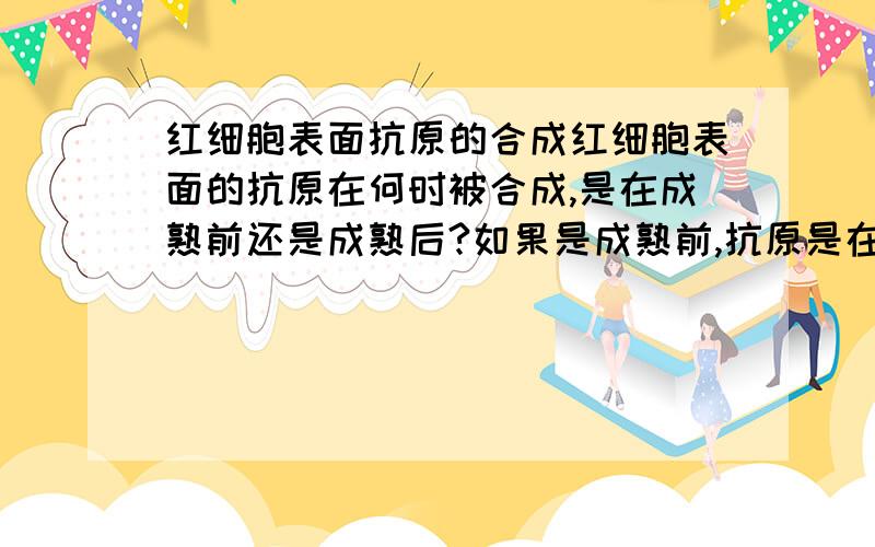 红细胞表面抗原的合成红细胞表面的抗原在何时被合成,是在成熟前还是成熟后?如果是成熟前,抗原是在哪个分化时期形成?