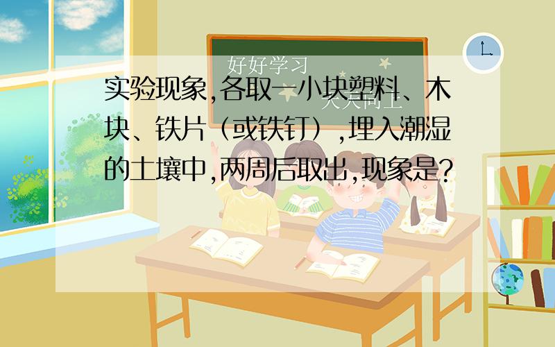 实验现象,各取一小块塑料、木块、铁片（或铁钉）,埋入潮湿的土壤中,两周后取出,现象是?